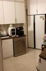 Bayshore Park (D16), Condominium #458468681